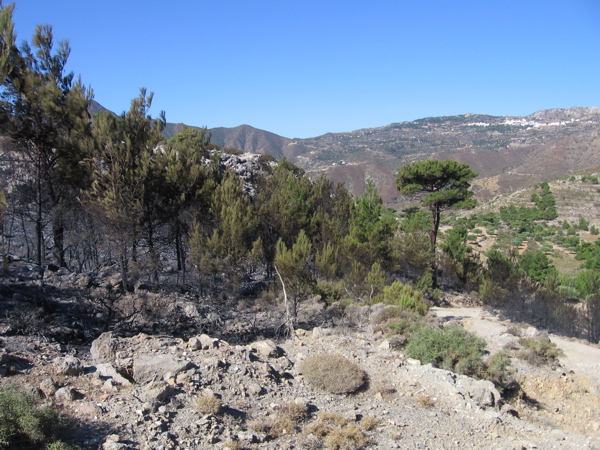 STA_0597.JPG