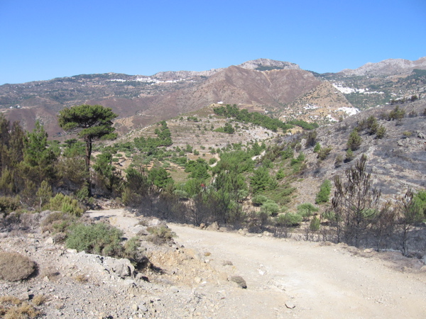 STB_0598.JPG