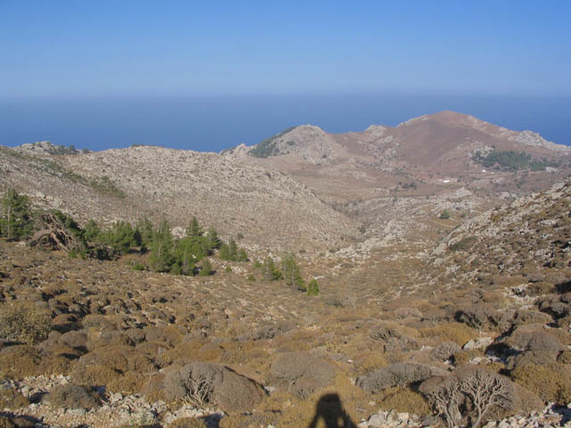 IMG_0485.JPG