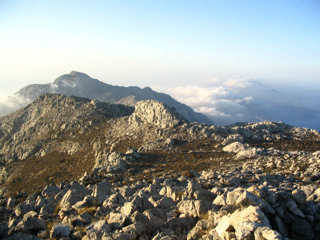 STG_0501.JPG