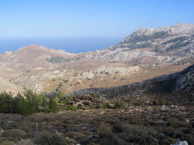IMG_0486.JPG