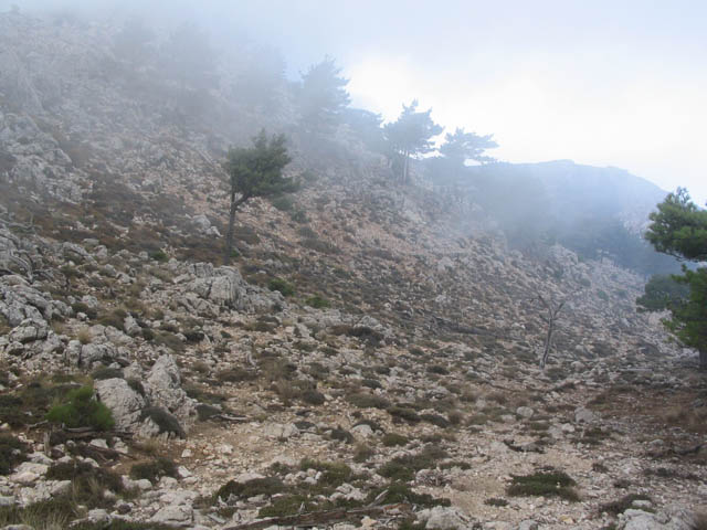IMG_0489.JPG