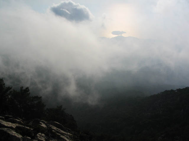 IMG_0491.JPG
